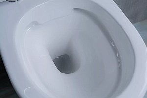 Унитаз подвесной Gid Tr2198 белый, с крышкой микролифт, безободковый купить в интернет-магазине Sanbest