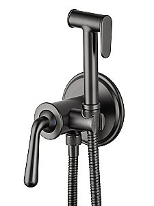 Смеситель с гигиеническим душем встраиваемый WONZON & WOGHAND STEAM, Темный графит (WW-88829008-BGM) купить в интернет-магазине сантехники Sanbest