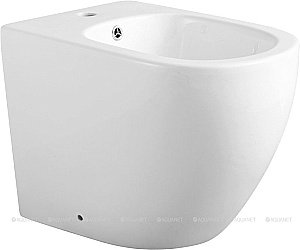 Биде напольное Aquanet Cetus 2.0 B1 LX-1831 купить в интернет-магазине Sanbest
