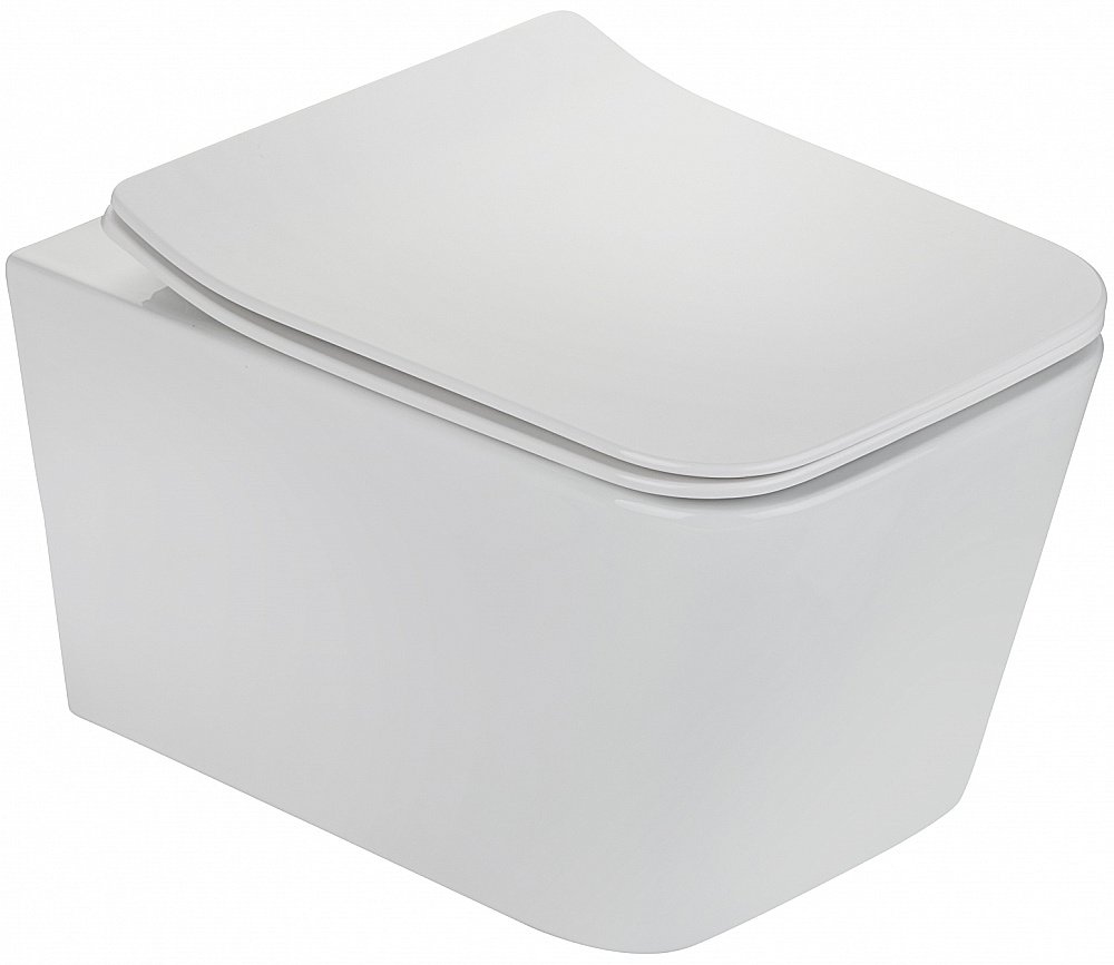 Унитаз подвесной TEKA Formentera 117320000 безободковый, с крышкой микролифт купить в интернет-магазине Sanbest