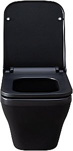 Унитаз подвесной Allen Brau Infinity 2 4.21011.31 черный матовый, безободковый купить в интернет-магазине Sanbest