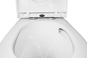 Инсталляция для унитаза Azario AZ-8010-1000 купить в интернет-магазине сантехники Sanbest