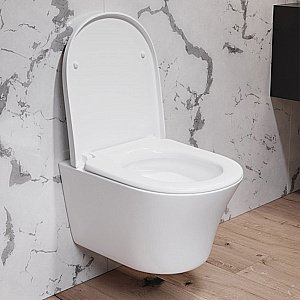 Унитаз подвесной Damixa Skyline DX35C1700SC белый, с крышкой микролифт, безободковый купить в интернет-магазине Sanbest