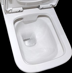 Унитаз напольный Taliente Elegante EL35055 безободковый, с бачком, с крышкой микролифт, белый купить в интернет-магазине Sanbest