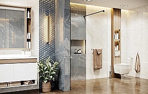 Душевое ограждение Ambassador Waik-in 100x200 15031110 купить в интернет-магазине Sanbest