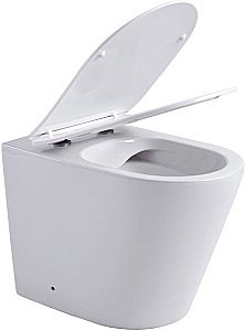 Унитаз приставной Aquanet Rimless Atago 2.0 F LX-1906 с крышкой микролифт, безободковый купить в интернет-магазине Sanbest