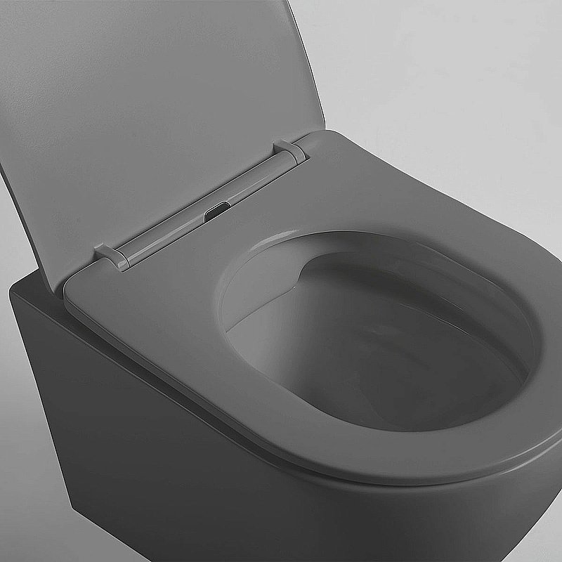 Унитаз Vincea Globo VT1-14SMA безободковый, с крышкой микролифт, антрацит матовый купить в интернет-магазине Sanbest