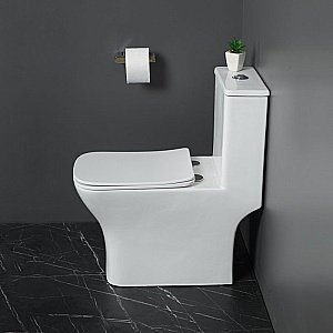 Унитаз-моноблок BelBagno NEON BB8617CPR-MN/SC белый, с крышкой микролифт, безободковый купить в интернет-магазине Sanbest
