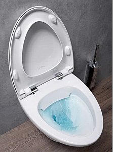 Унитаз подвесной Jacob Delafon NOUVELLE VAGUE EDK102-00 безободковый купить в интернет-магазине Sanbest