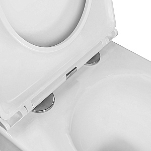 Унитаз подвесной Azario Nata AZ-5102T-WHT белый, безободковый, с крышкой микролифт, слив торнадо купить в интернет-магазине Sanbest