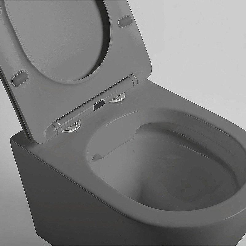 Унитаз Vincea Globo VT1-14SMA безободковый, с крышкой микролифт, антрацит матовый купить в интернет-магазине Sanbest