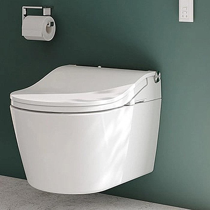 Унитаз подвесной TOTO RP CW542ERY купить в интернет-магазине Sanbest