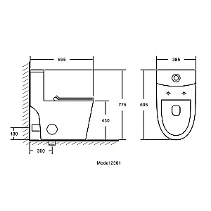 Унитаз моноблок Azario Ansa AZ-2301 белый, безободковый, с крышкой микролифт купить в интернет-магазине Sanbest
