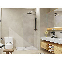 Душевое ограждение Azario Walk-in 100 AZ-251-100-CH-CL стекло прозрачное/профиль хром купить в интернет-магазине Sanbest