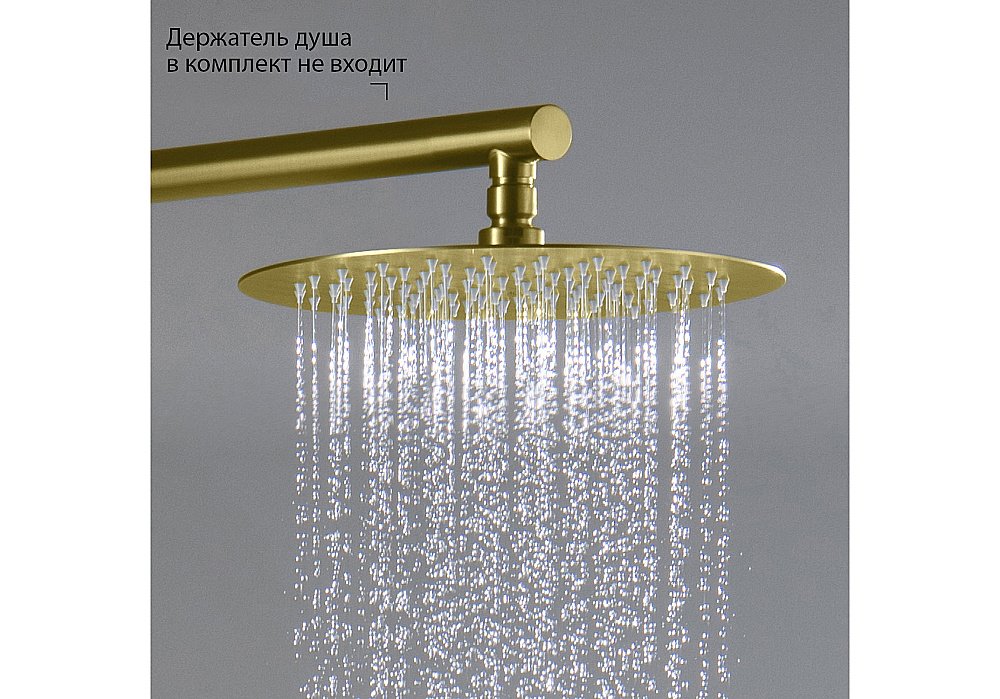 Верхний душ Aquatek AQ2073BG 250 золото шлифованное купить в интернет-магазине сантехники Sanbest
