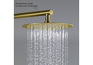 Верхний душ Aquatek AQ2073BG 250 золото шлифованное купить в интернет-магазине сантехники Sanbest