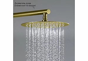 Верхний душ Aquatek AQ2073BG 250 золото шлифованное купить в интернет-магазине сантехники Sanbest