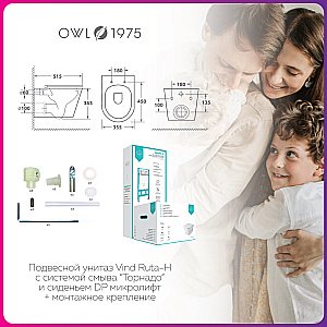 Унитаз с инсталляцией OWL 1975 Vind Ruta H OWLINSTTI.TOWLT190304 безободковый, с крышкой микролифт, с кнопкой Titan хром купить в интернет-магазине Sanbest