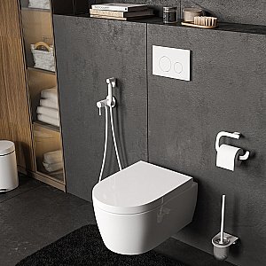 Инсталляция для унитаза WasserKraft Alme 15TLT.010.ME.WM02 кнопка белая матовая купить в интернет-магазине сантехники Sanbest
