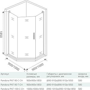 Душевой уголок Good Door PANDORA PNT-100-C-CH 100x100 купить в интернет-магазине Sanbest