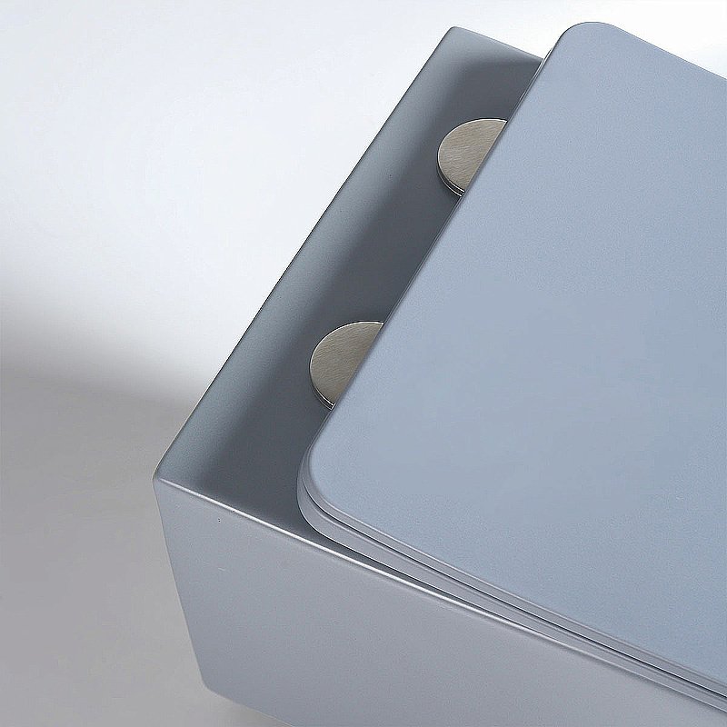 Унитаз Vincea Q-Line VT1-12MO безободковый, с крышкой микролифт, океан матовый купить в интернет-магазине Sanbest