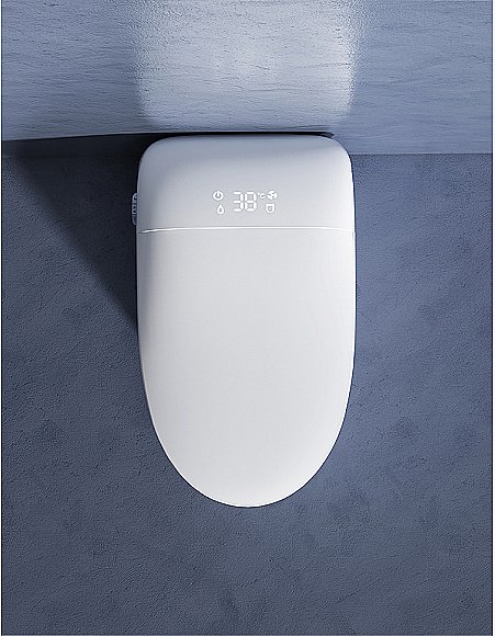 Унитаз приставной с функцией биде SantiLine SL-5036 белый, безободковый, с крышкой микролифт, слив торнадо купить в интернет-магазине Sanbest