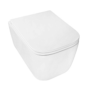 Унитаз подвесной Azario BACIO AZ-5103T-WHT белый, безободковый, с крышкой микролифт, слив торнадо купить в интернет-магазине Sanbest