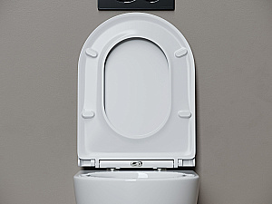 Унитаз подвесной Ceramica Nova Whirl CN11007T белый, безободковый, с крышкой микролифт, слив торнадо купить в интернет-магазине Sanbest