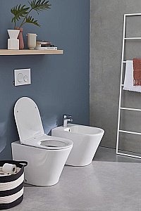 Биде напольное Jacob Delafon Rodin+ EBJ0002-00 белое купить в интернет-магазине Sanbest