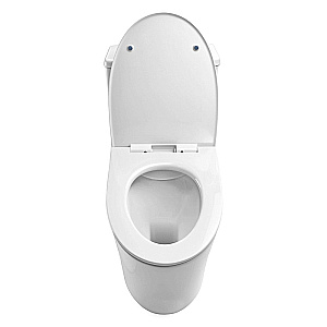 Унитаз моноблок Azario Bais AZ-5003 белый, безободковый, с крышкой микролифт купить в интернет-магазине Sanbest