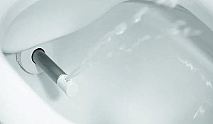 Унитаз-биде подвесной Laufen Cleanet Navia 8.2060.1.400.000.1 купить в интернет-магазине Sanbest