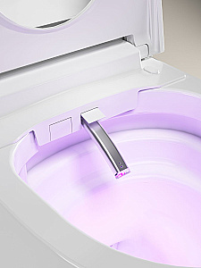 Унитаз-биде подвесной с инсталляцией Allen Brau Smart 4.I1001.20 белый, с крышкой микролифт, слив торнадо купить в интернет-магазине Sanbest