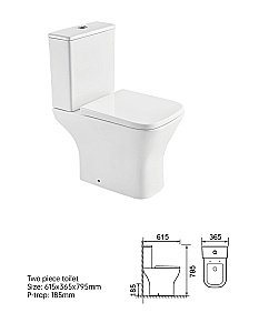 Унитаз напольный Taliente Elegante Vortex EL45055 безободковый, смыв торнадо, с бачком, с крышкой микролифт, белый купить в интернет-магазине Sanbest