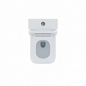 Унитаз-компакт IDDIS Torr TORRDSEi24 безободковый, с бачком, с крышкой микролифт купить в интернет-магазине Sanbest