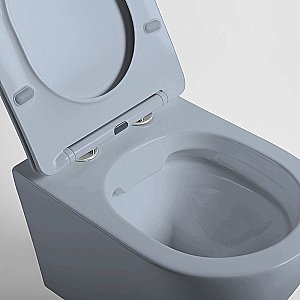 Унитаз Vincea Globo VT1-14SMO безободковый, с крышкой микролифт, океан матовый купить в интернет-магазине Sanbest