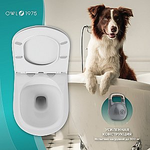 Унитаз подвесной OWL 1975 Vind Ruta-H TOWLT190304 безободковый, с крышкой микролифт купить в интернет-магазине Sanbest