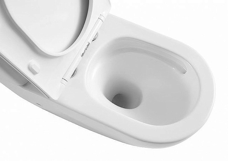 Унитаз подвесной CeramaLux TR2196 белый, безободковый, с крышкой микролифт, слив торнадо купить в интернет-магазине Sanbest