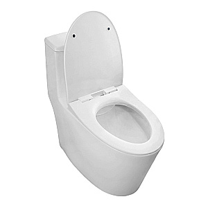 Унитаз моноблок Azario Bais AZ-5003 белый, безободковый, с крышкой микролифт купить в интернет-магазине Sanbest