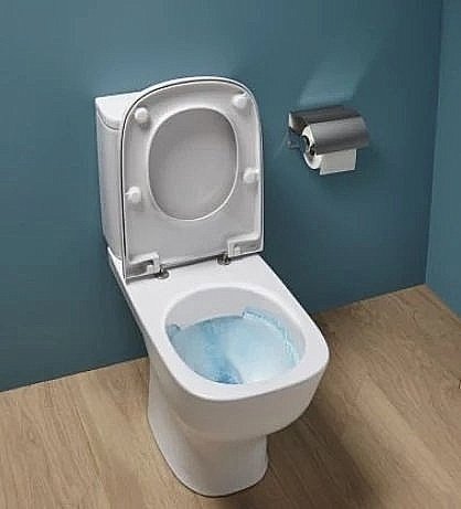 Унитаз напольный Jacob Delafon STRUKTURA безободковый, с бачком купить в интернет-магазине Sanbest