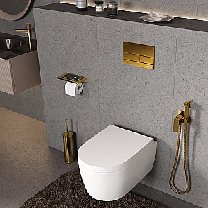 Инсталляция для унитаза WasserKraft Dinkel 58TLT.010.ME.PG04 с кнопкой глянцевое золото купить в интернет-магазине сантехники Sanbest