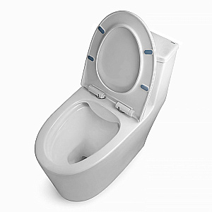 Унитаз моноблок Azario Bais AZ-5003 белый, безободковый, с крышкой микролифт купить в интернет-магазине Sanbest