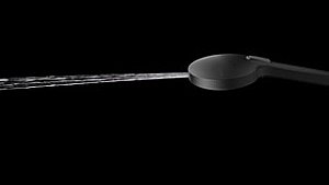 Душевая лейка Rav-Slezak PS0019 хром купить в интернет-магазине сантехники Sanbest