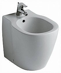 Биде напольное Ideal Standard Connect E799501 купить в интернет-магазине Sanbest