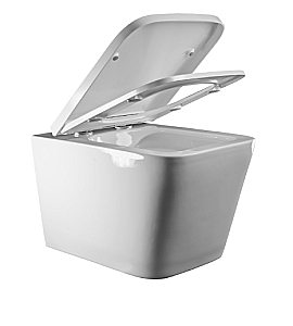 Унитаз подвесной Elghansa Monterno RQ-5035 белый, безободковый, с крышкой микролифт купить в интернет-магазине Sanbest