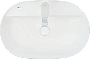 Накладная раковина WeltWasser WW ELBACH 2203 61 белая купить в интернет-магазине Sanbest