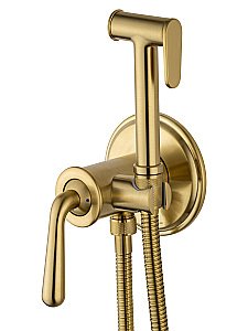 Смеситель с гигиеническим душем встраиваемый WONZON & WOGHAND STEAM, Брашированное золото (WW-88829008-BG) купить в интернет-магазине сантехники Sanbest