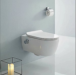 Унитаз SSWW CT2039V-B белый безободковый, с крышкой микролифт, функцией биде купить в интернет-магазине Sanbest