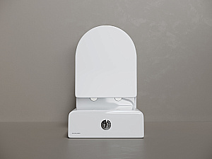 Унитаз напольный Ceramica Nova Highlight CN1802T-B/CN1802T-T белый, безободковый, с крышкой микролифт, слив торнадо купить в интернет-магазине Sanbest