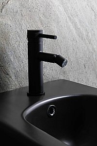 Биде Allen Brau Liberty 2 4.33010.31 черное матовое купить в интернет-магазине Sanbest