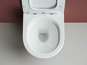 Унитаз подвесной Ceramica Nova Forma Rimless CN3009_1001W безободковый, с крышкой микролифт, с инсталляцией и белой кнопкой купить в интернет-магазине Sanbest